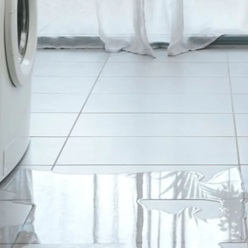 Appliance Leak Cleanup in Clinton, KY