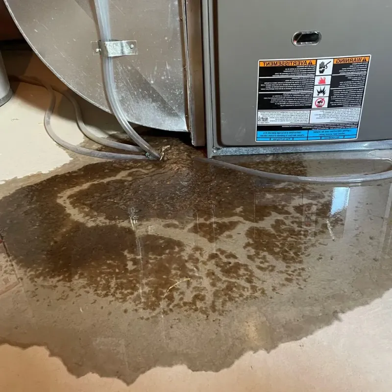 Pipe Burst and Leak Restoration in Clinton, KY