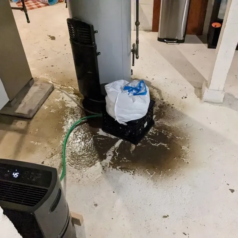 Sewage Backup Cleanup Service in Clinton, KY